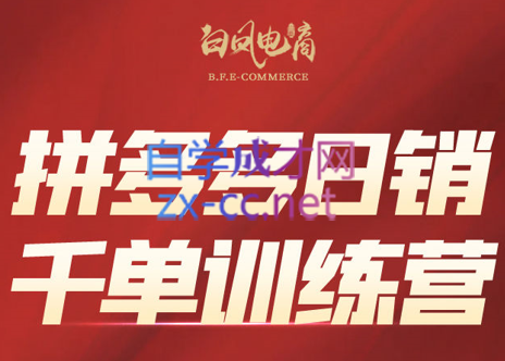 白凤电商·拼多多日销千单训练营(更新9月)-资源V站