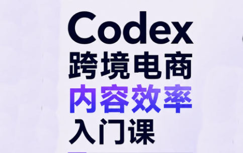 Codex跨境电商内容效率入门课-资源V站