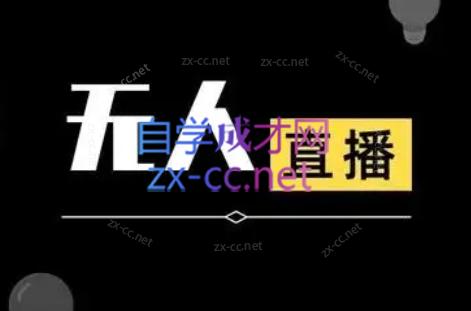 宝子哥·无人直播-非实时防风技术(更新9月)-资源V站