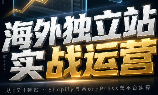 海外独立站实战运营-资源V站